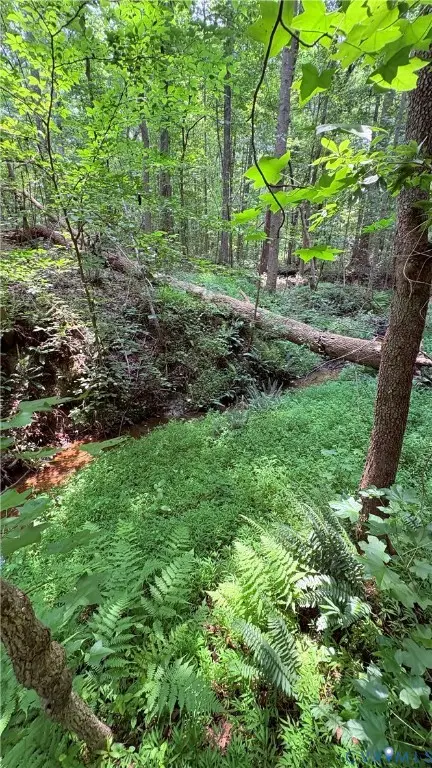 000 Old Buckingham Road, Powhatan, VA 23139 - #1