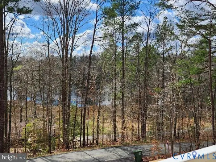 26870 Slash Pine Circle, Ruther Glen, VA 22546 - #1