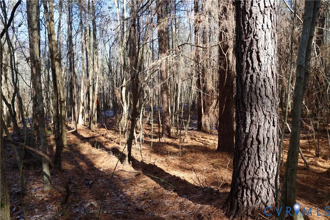 0 Beaver Acres Lane, Buffalo Junction, VA 24529 - #1