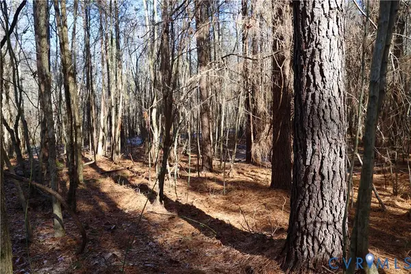 0 Beaver Acres Lane, Buffalo Junction, VA 24529