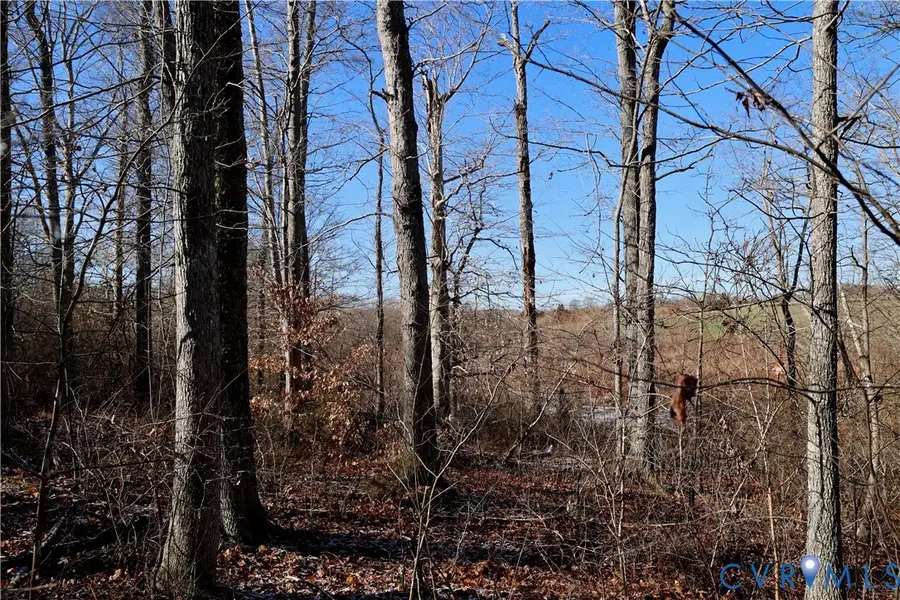 0 Beaver Acres Lane, Buffalo Junction, VA 24529 - #2