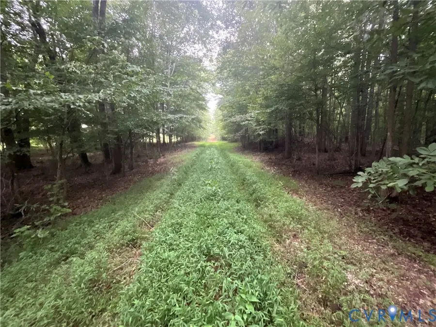 XX Rocky Ford Road, Jetersville, VA 23083 - #3