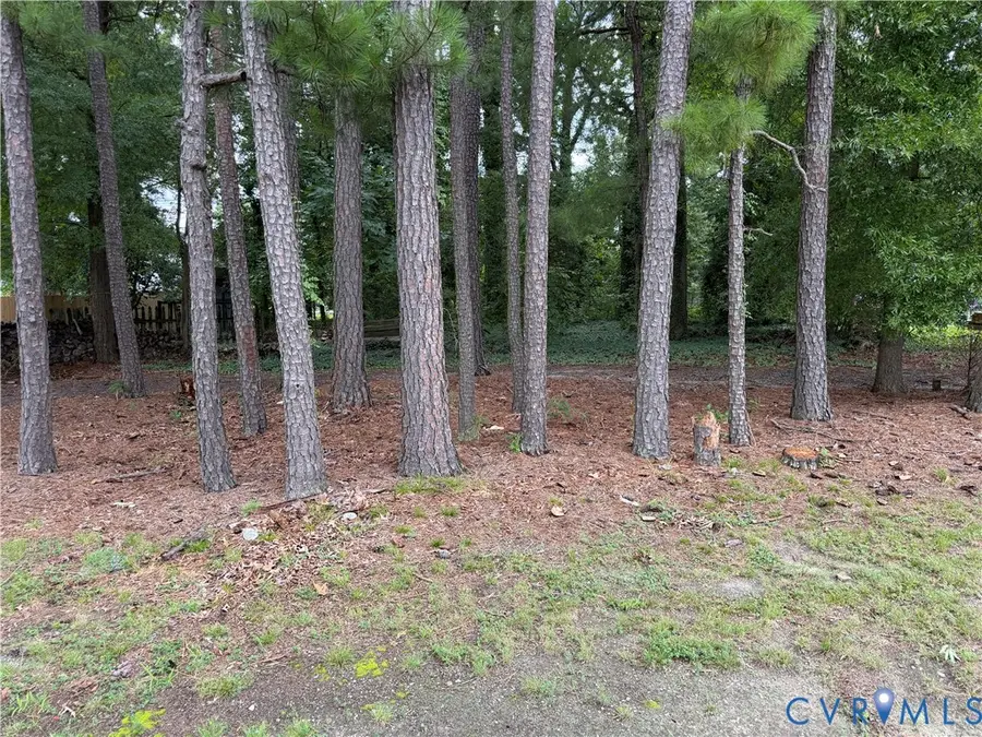 4811 Hopkins Road, Ampthill, VA 23234 - #2