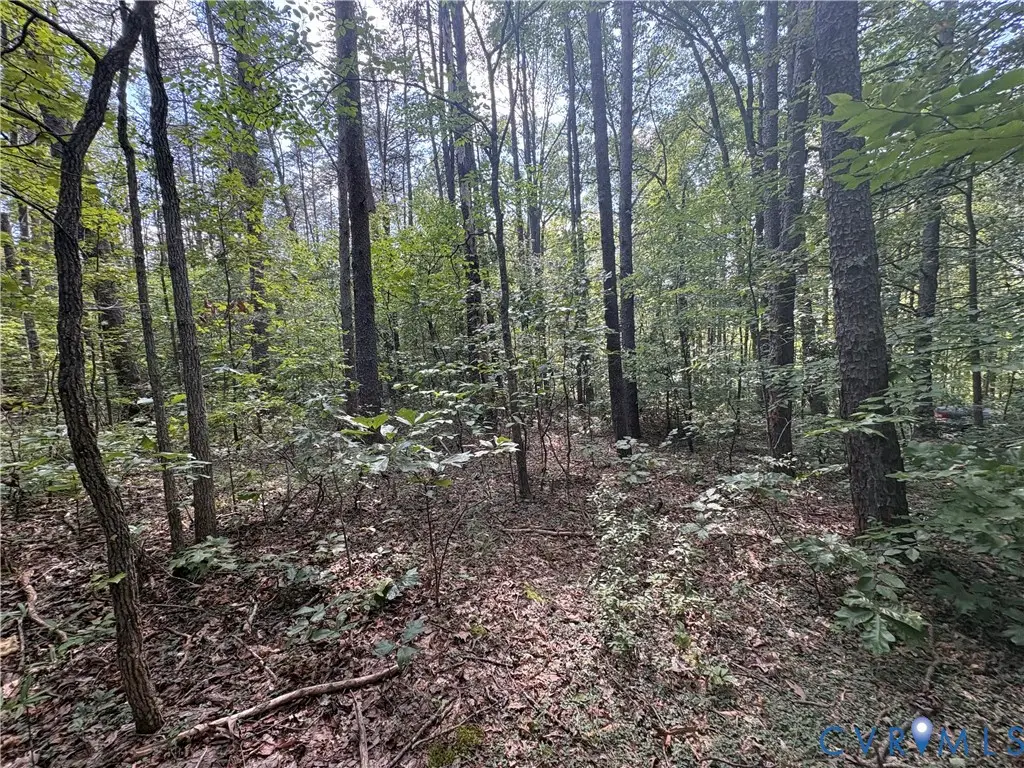 0 Bradshaw Road, Gum Spring, VA 23065 - #1
