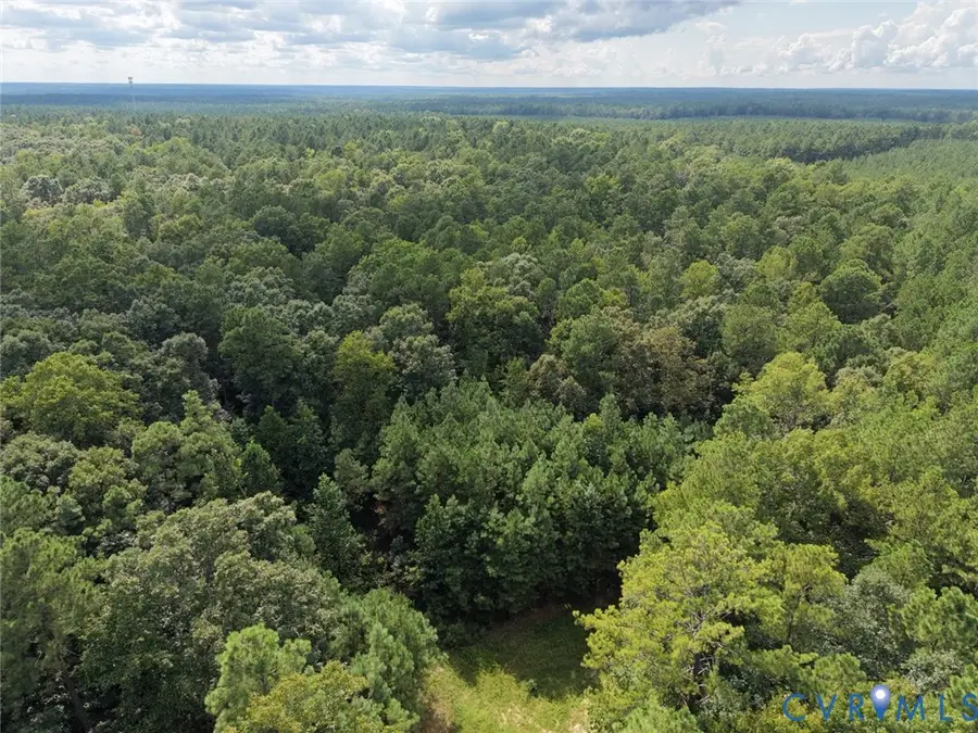 14371 N Ivey Mill Road, Chesterfield, VA 23838 - #2