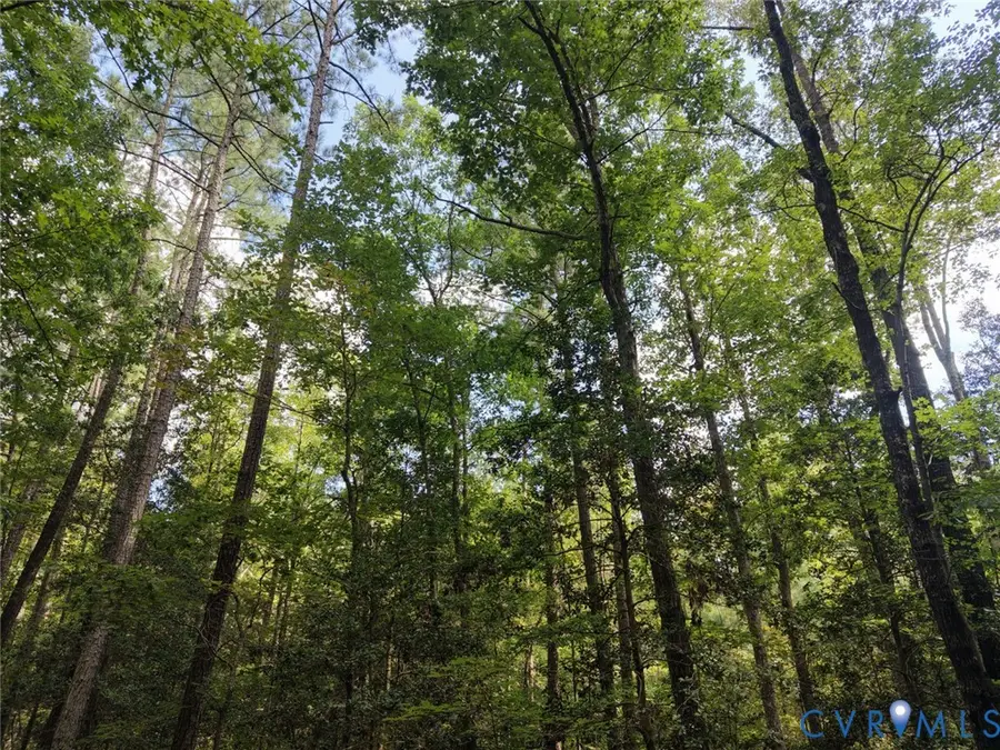 14371 N Ivey Mill Road, Chesterfield, VA 23838 - #3