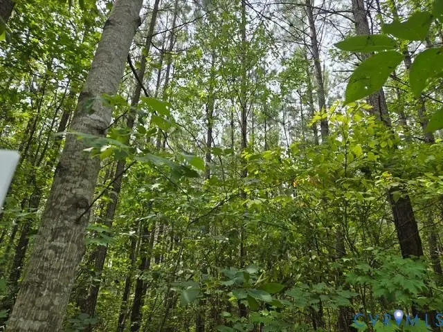 000 Miller Camp Road, Buckingham, VA 23921 - #1