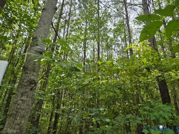000 Miller Camp Road, Buckingham, VA 23921