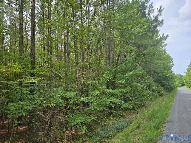 000 Miller Camp Road, Buckingham, VA 23921 - #2