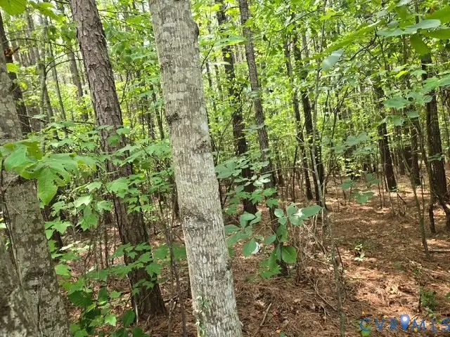 000 Miller Camp Road, Buckingham, VA 23921 - #3
