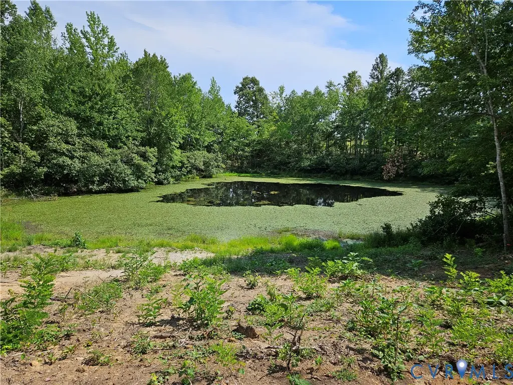 5 Acres Selma Rd, Jetersville, VA 23083 - #1