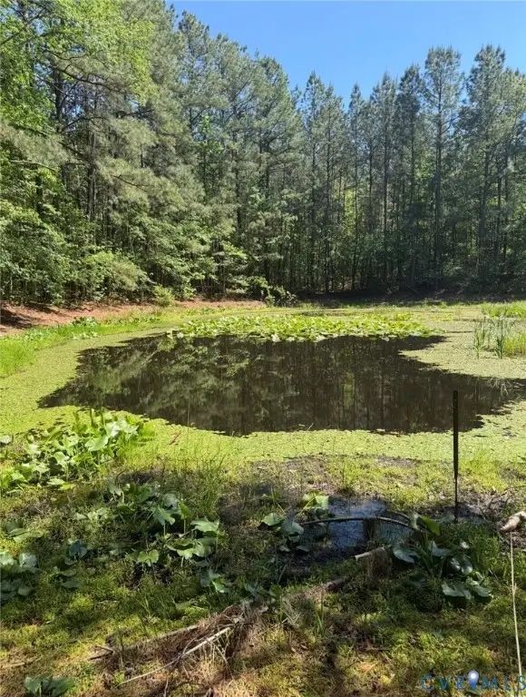 0 Sturgeon Road, Lawrenceville, VA 23868