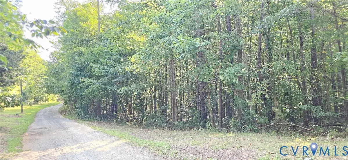 9-A-61 Springfield Road, Meherrin, VA 23954 - #1
