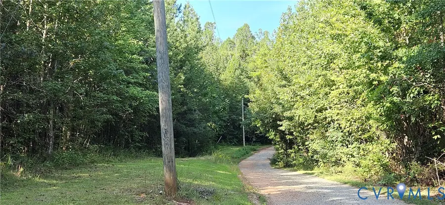 9-A-61 Springfield Road, Meherrin, VA 23954 - #2
