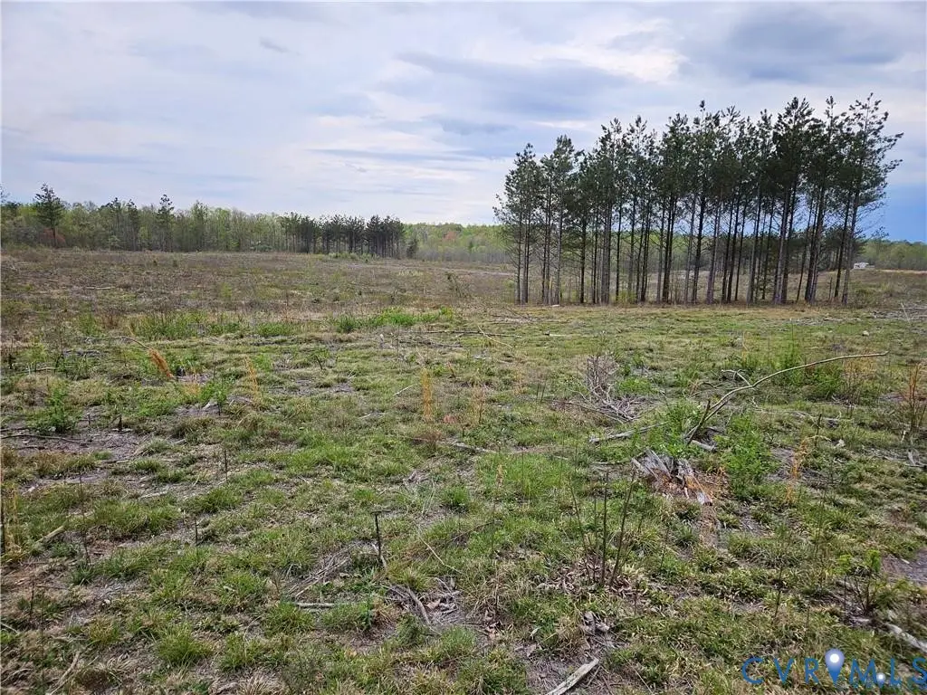 20.635 Acres Prince Edward Highway, Rice, VA 23966 - #1