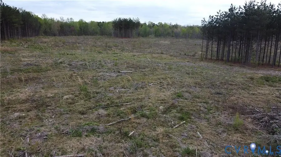 20.635 Acres Prince Edward Highway, Rice, VA 23966 - #2