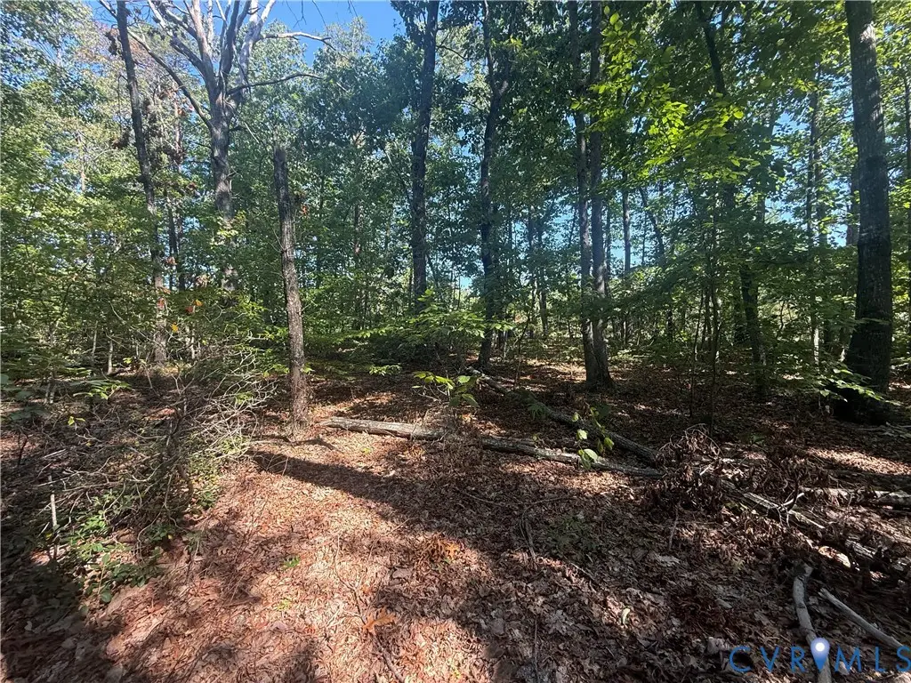 Lot 5 Dixie Hill Road, Buckingham, VA 23921 - #1