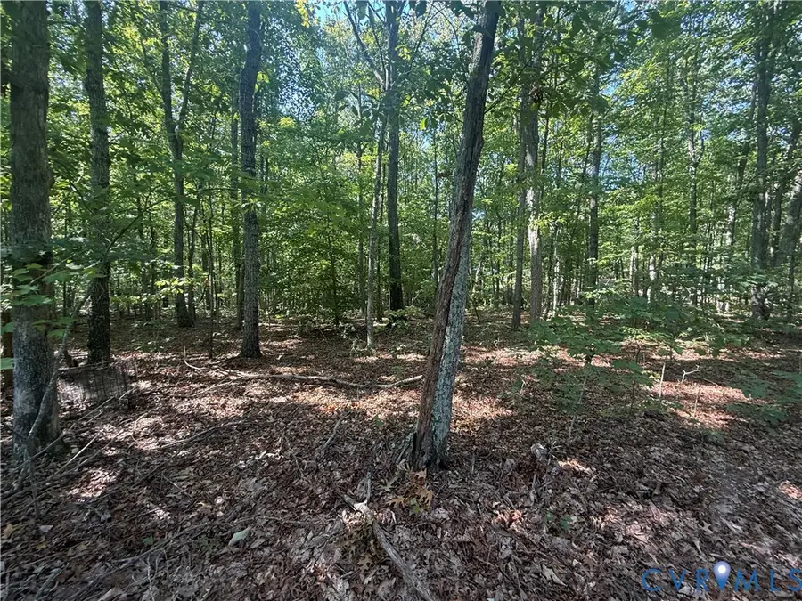 Lot 5 Dixie Hill Road, Buckingham, VA 23921 - #2
