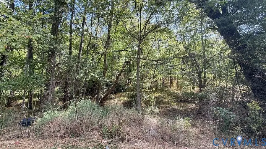 0 Banner Street, Danville, VA 24541 - #3