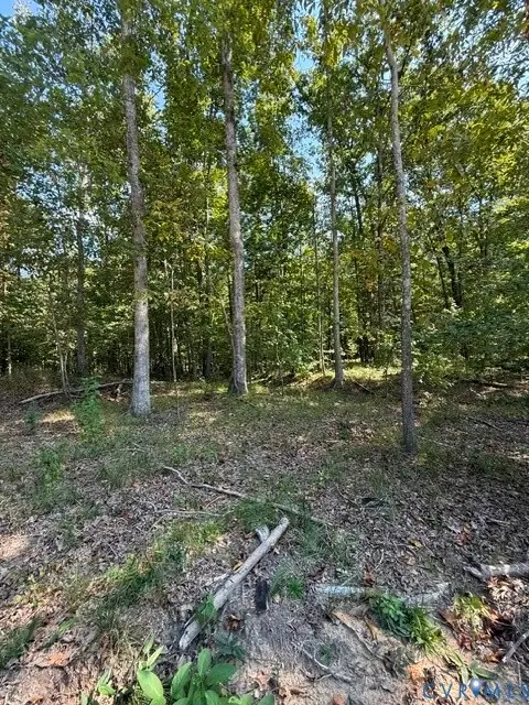 00 Hidden Springs, Powhatan, VA 23113