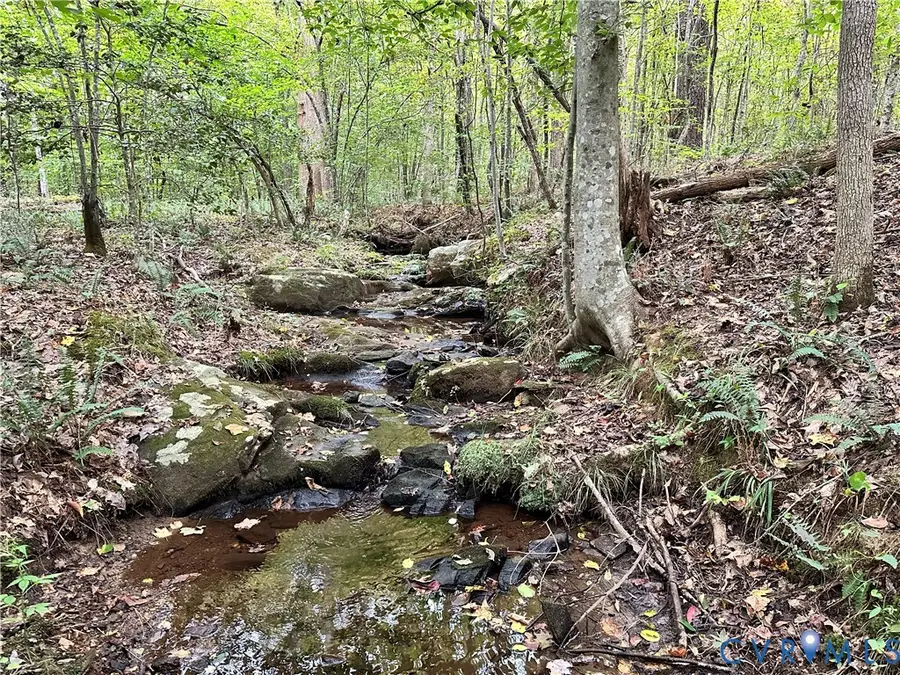 TBD Tomlinson Road, Victoria, VA 23974 - #2