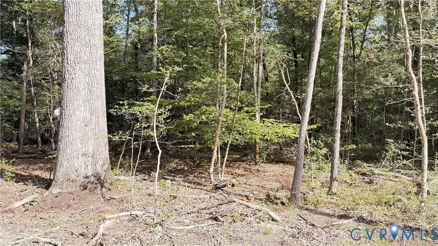 W.RoseGaerden rd W.garden Rd, King William, VA 23086 - #3