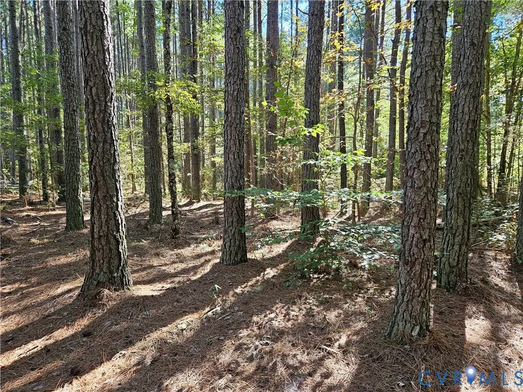 33.65 Acres Military Road, Amelia Court House, VA 23002 - #1