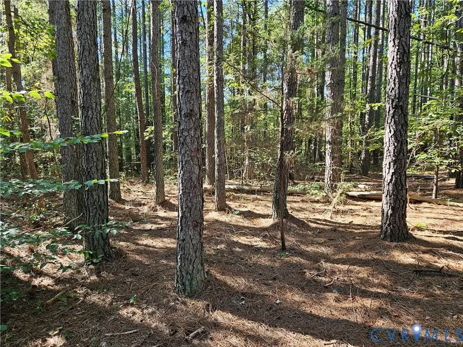 33.65 Acres Military Road, Amelia Court House, VA 23002 - #2