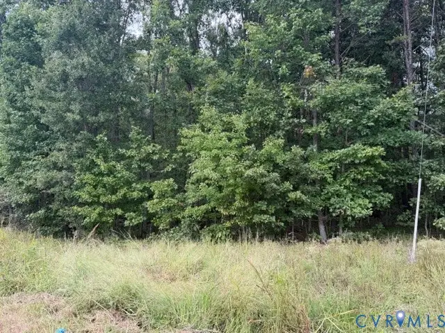 Lot 14B Twin Bridges Road, Green Bay, VA 23942 - #2
