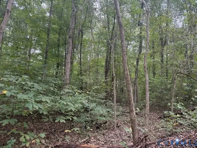 Lot 14B Twin Bridges Road, Green Bay, VA 23942 - #3