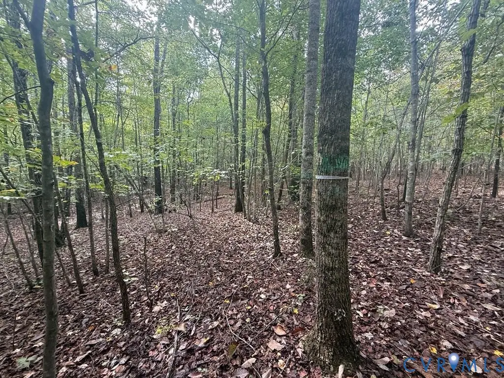 13.52 Westpoint Stevens Road, Drakes Branch, VA 23937 - #1