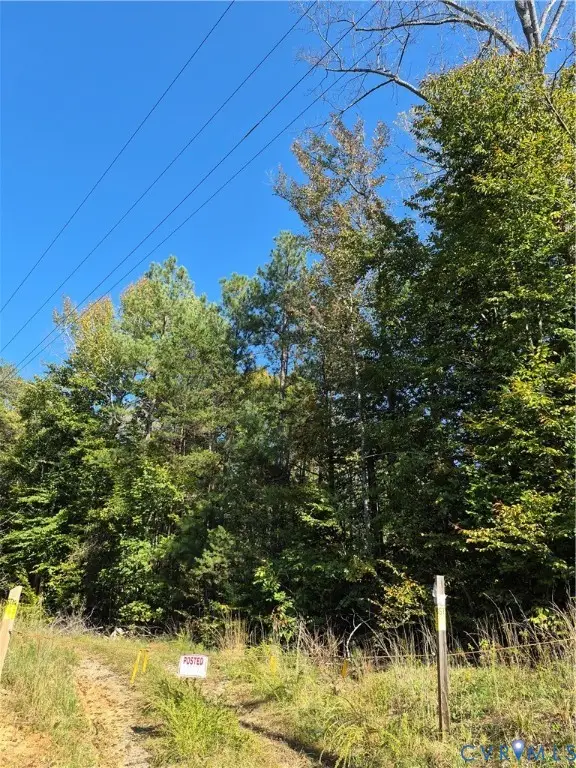 00 Beaver Dam Road, Beaverdam, VA 23015 - #3