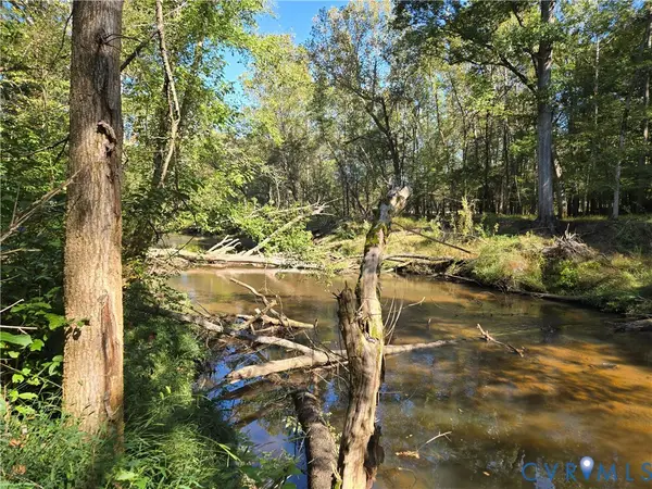 Lot 8 Saw Mill Road, Buckingham, VA 23901