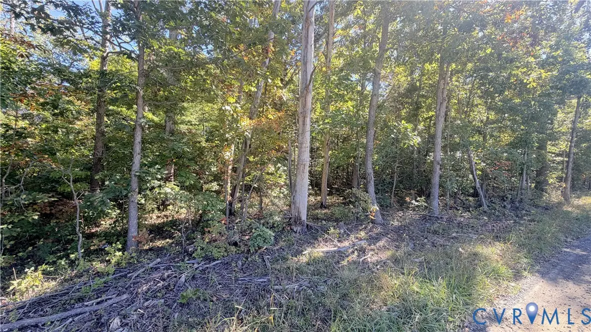 16106 Thoroughfare Road, Broad Run, VA 20137 - #1