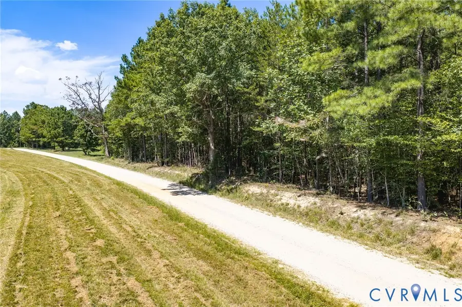 000 Davis Lowground Road, Keysville, VA 23947 - #3