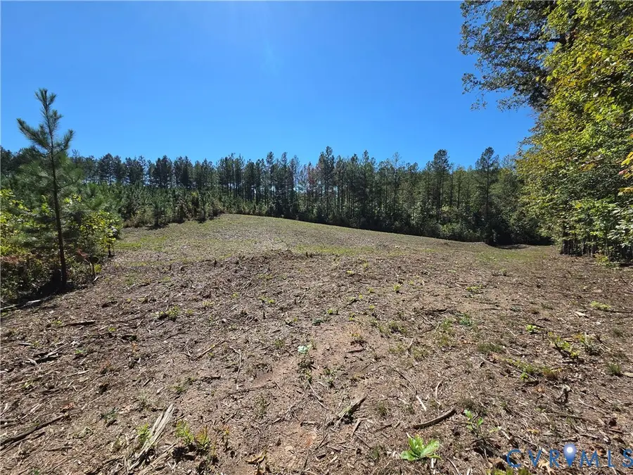 7.433Ac Penlan Road, Arvonia, VA 23004 - #2