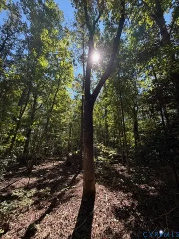000 Hancock Mill Rd, Mineral, VA 23117