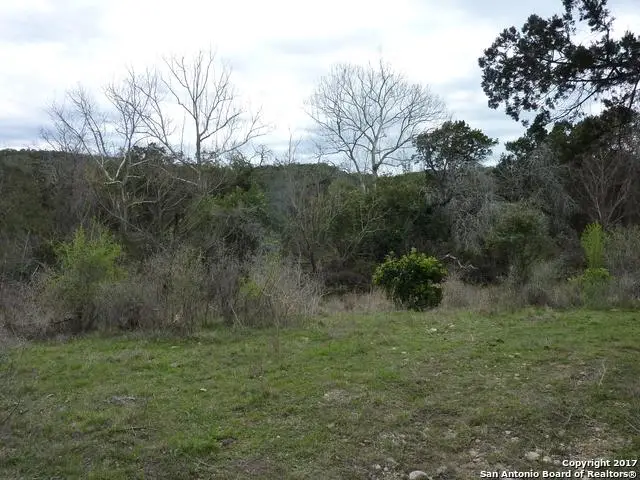 17032 Scenic Loop Road, Helotes, TX 78023 - Image #2