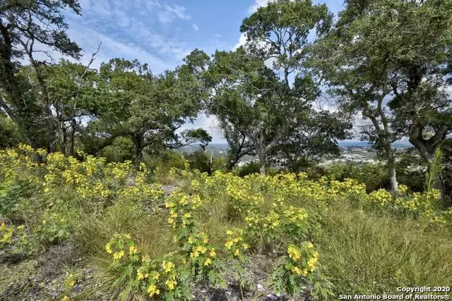 22977 Stallion Ridge, San Antonio, TX 78255 - Image #2