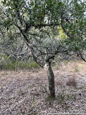 1490 Red Rock Rd., Blanco, TX 78606 - Image #3