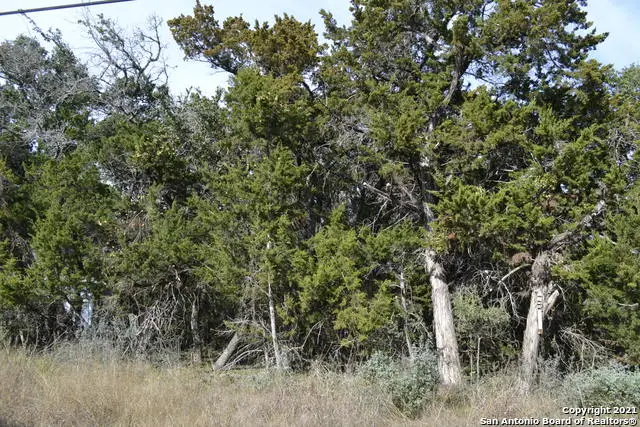 LOT 304 Whartons Dock, Bandera, TX 78003 - #3