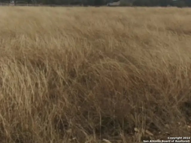 514 John Price, Blanco, TX 78606 - #2