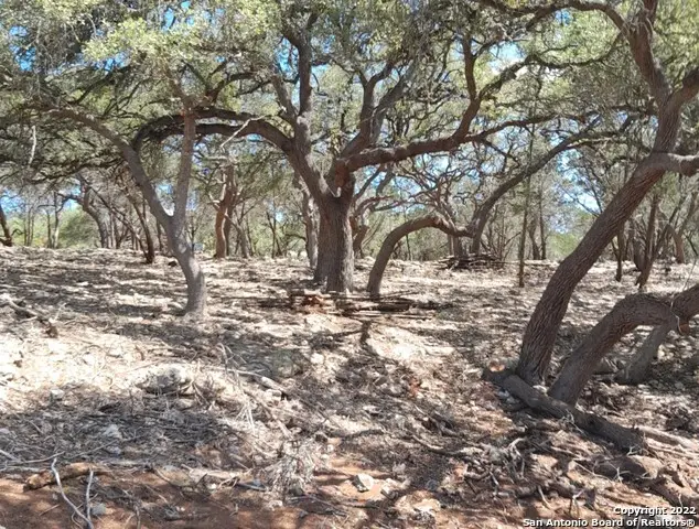 243 Kellog, Fischer, TX 78623 - Image #2