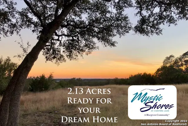 325 Ridge Pt, Spring Branch, TX 78070 - #1