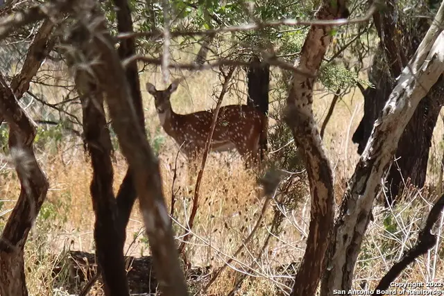 19 & 20 Cedar, Bandera, TX 78003 - Image #3