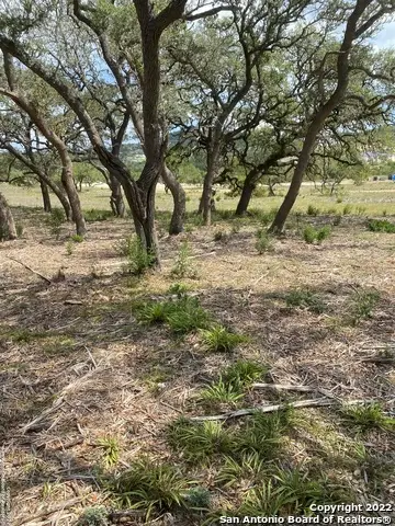 24510 Paraiso Ridge, San Antonio, TX 78255 - Image #2