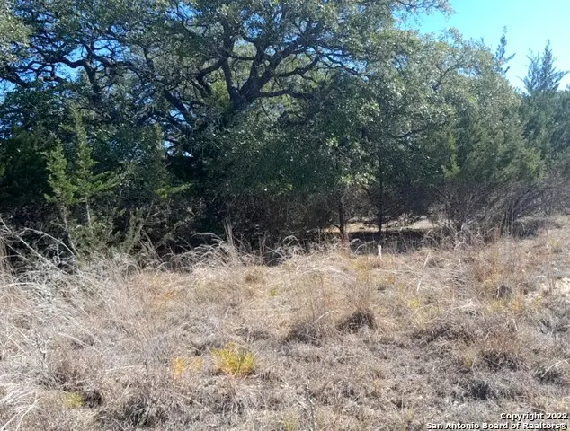 232 Hiram Cook, Blanco, TX 78606 - #1