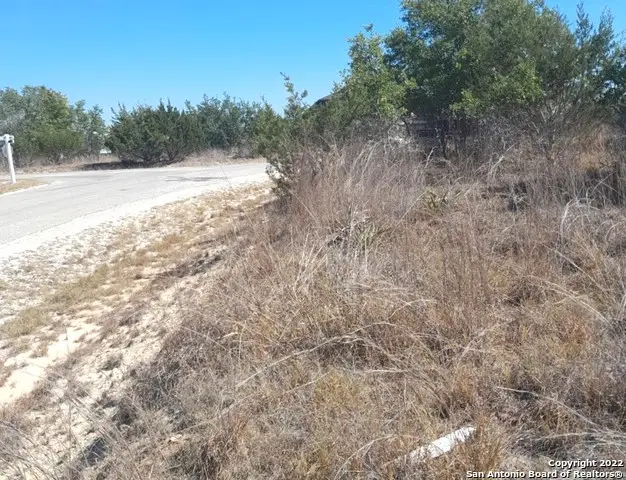 232 Hiram Cook, Blanco, TX 78606 - #2