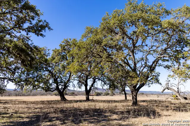 434 River Rd, Utopia, TX 78884 - Image #2