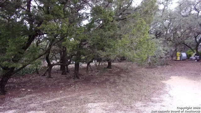 LOT 46 Mountain Wood, Canyon Lake, TX 78133 - #2